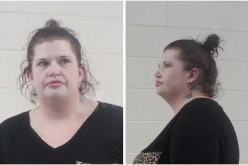 Melisa Mills mugshot