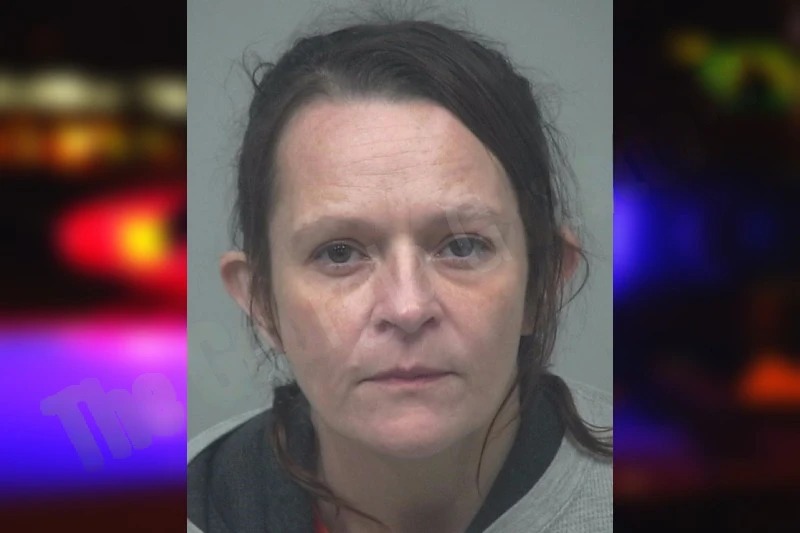 Melissa Fiebig Mugshots