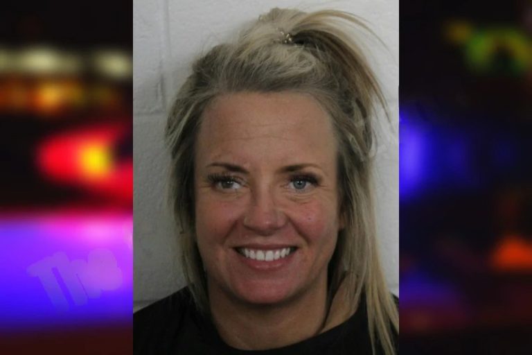 Melissa Gibbs mugshot – Floyd County , Georgia Melissa Gibbs