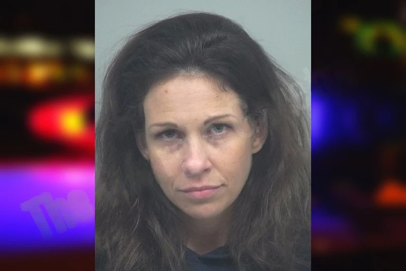 Melissa Gonzales Mugshots