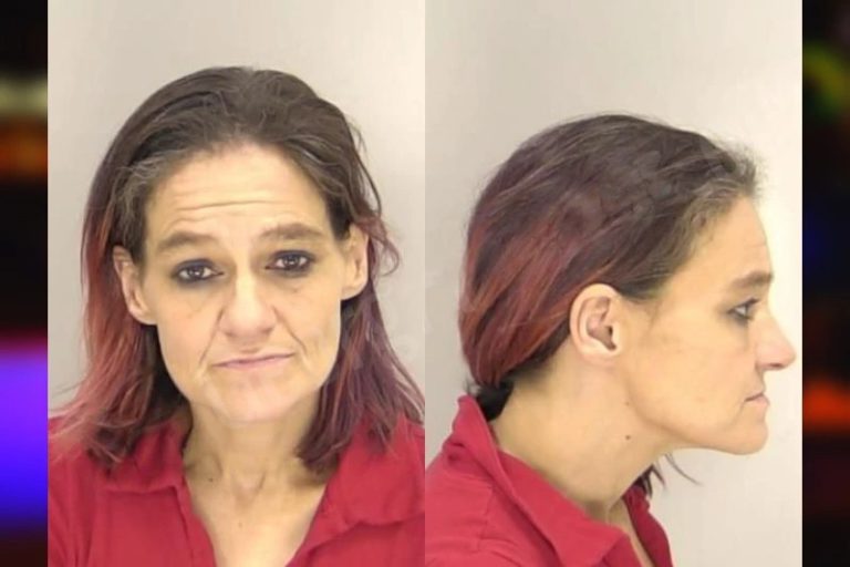 Melissa Sousa mugshot – Richmond County , Georgia Melissa Sousa