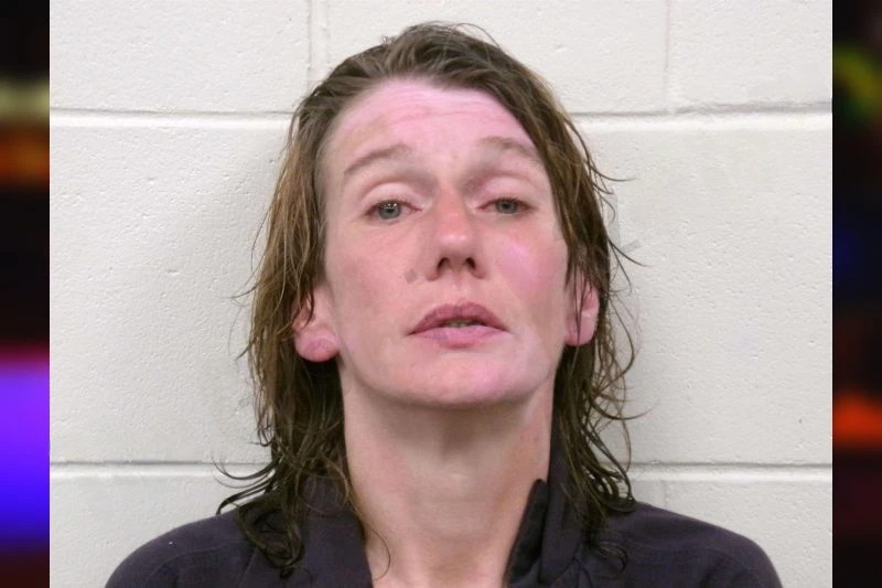 Mellisa Robertson Mugshots