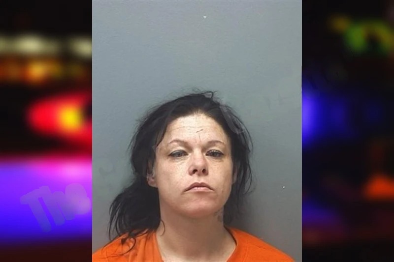 Meloney Fenske Mugshots