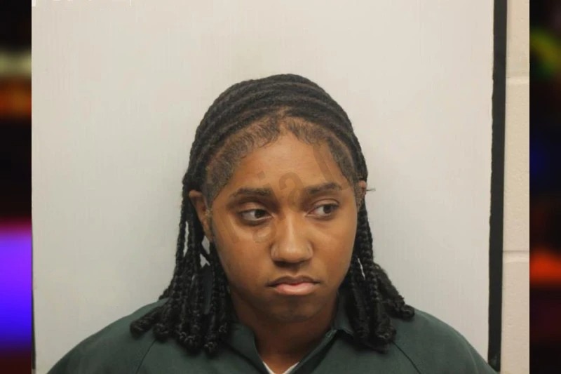 Micaela Sullivan Mugshots