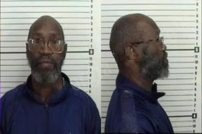 Michael Ford mugshot – Camden County , Georgia Michael Ford