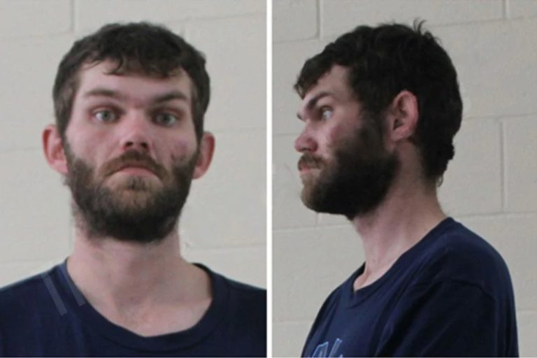 Michael Francis mugshot – Houston County , Georgia Michael Francis