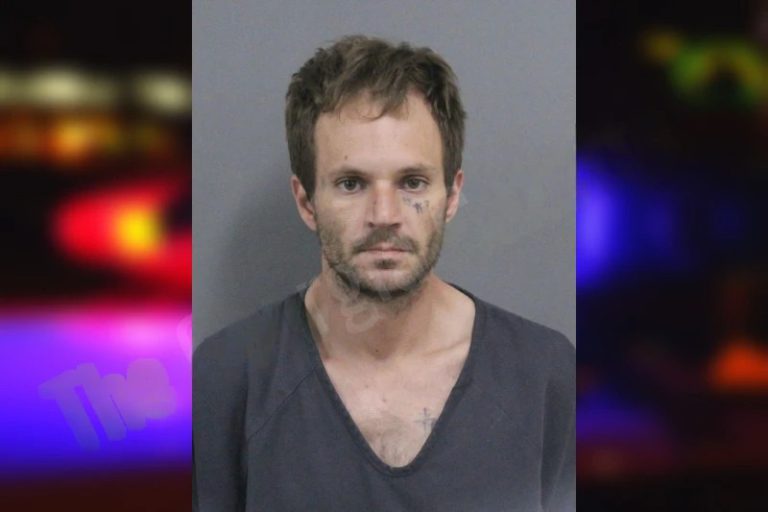 Michael Livingston mugshot – Catoosa County , Georgia Michael Livingston