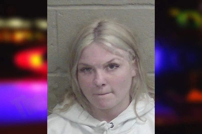 Michaela Giffin Mugshots