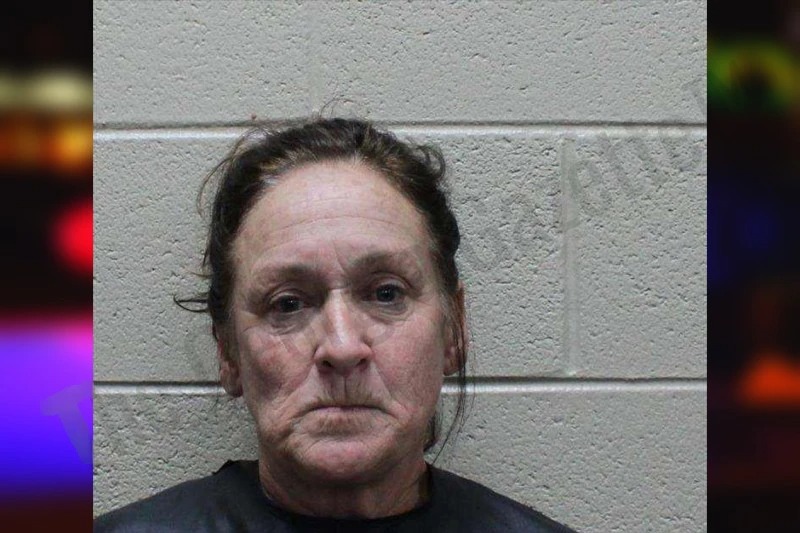 Michele Lemastus Mugshots