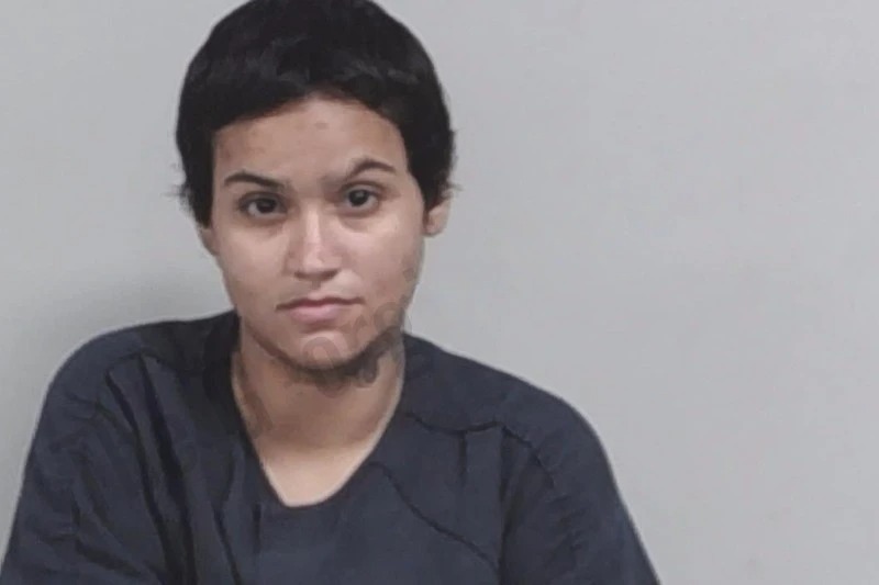 Michelle Acevedo Mugshots