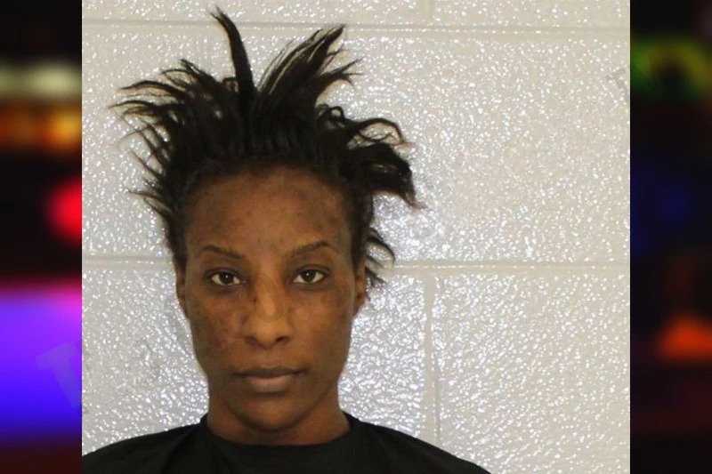 Michelle Bolin Mugshots