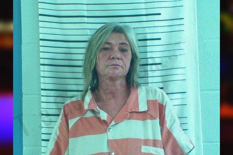 Michelle Brown Mugshots