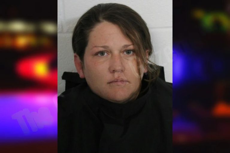 Michelle Causey mugshot – Floyd County , Georgia Michelle Causey