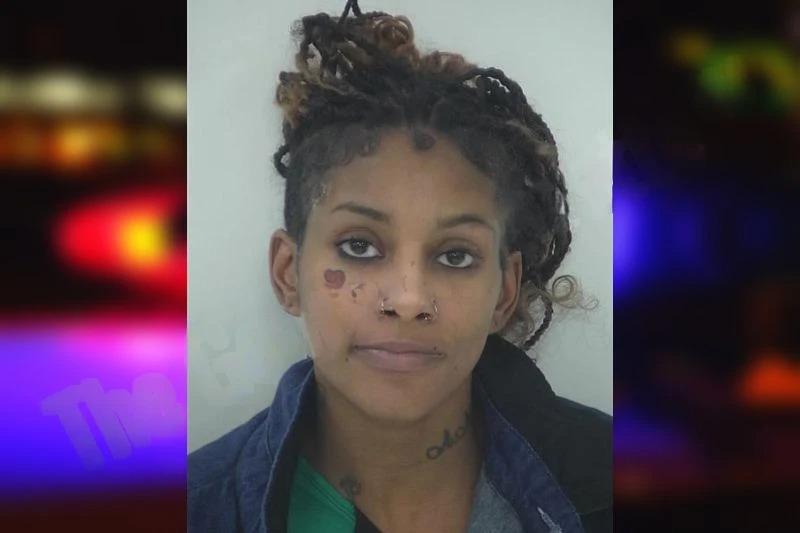 Michelle Graham mugshot