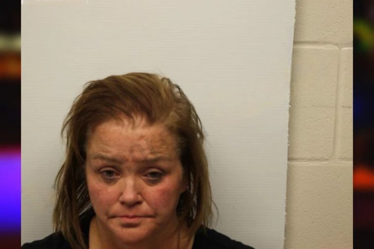Michelle McMahon mugshot – Chatham County , Georgia Michelle McMahon