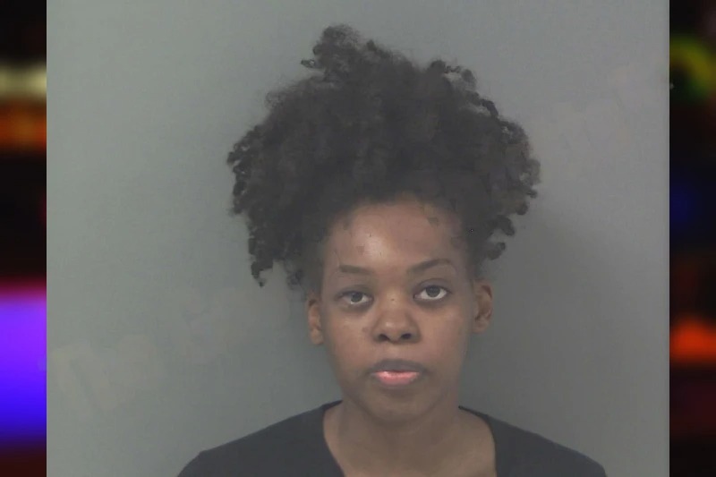 Michelle Norton mugshot – Douglas County , Georgia Michelle Norton mugshot