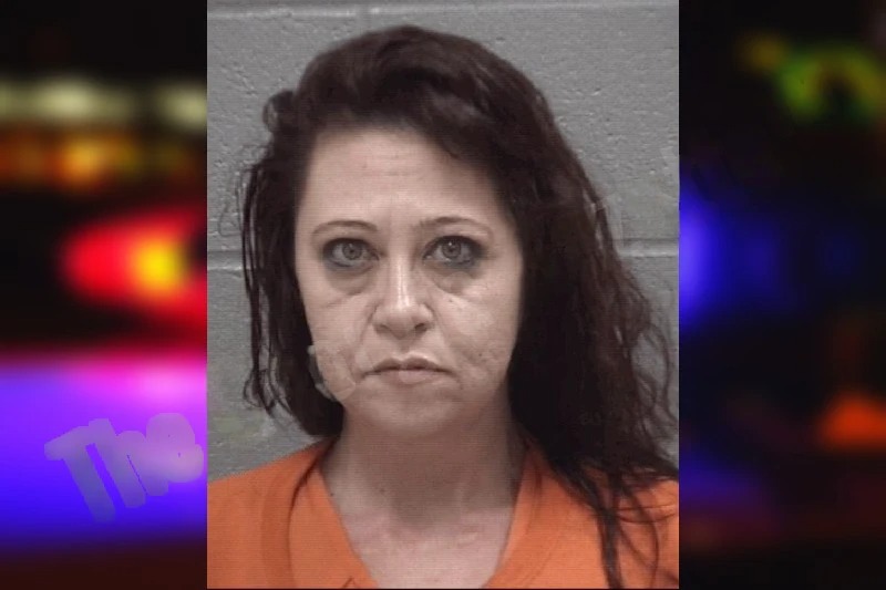 Michelle Soper mugshot