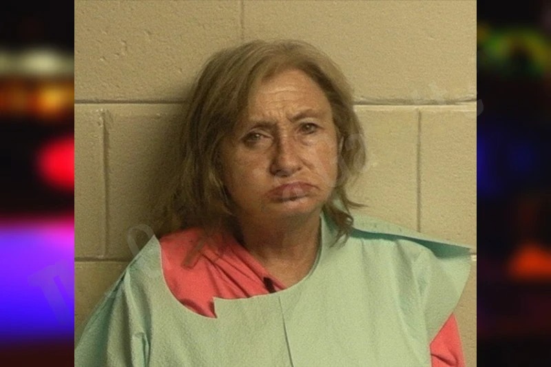 Michelle Tomlinson Mugshots