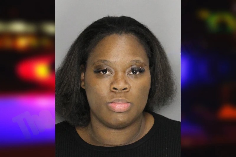 Mikeda Young mugshot