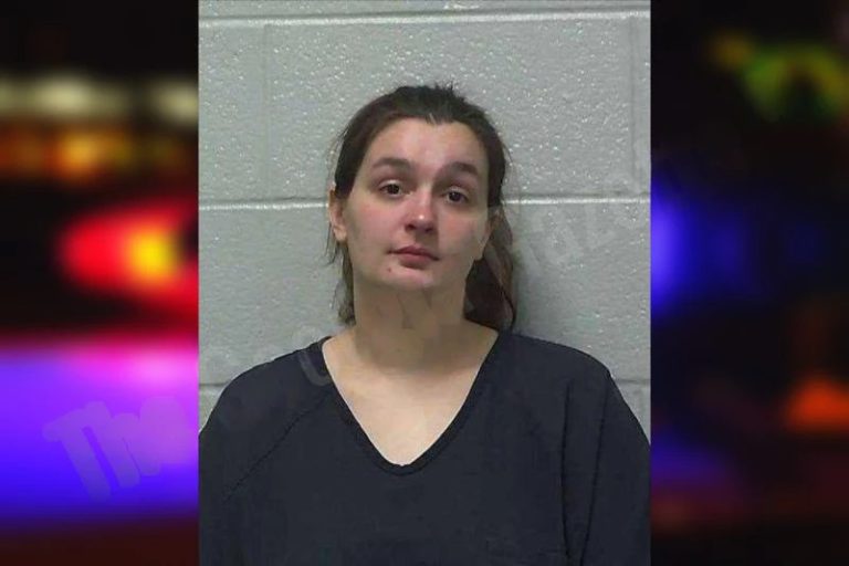 Miranda Learmouth mugshot – Gilmer County , Georgia Miranda Learmouth
