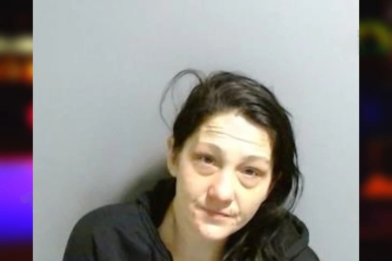 Miranda Owens mugshot – Fulton County , Georgia Miranda Owens mugshot