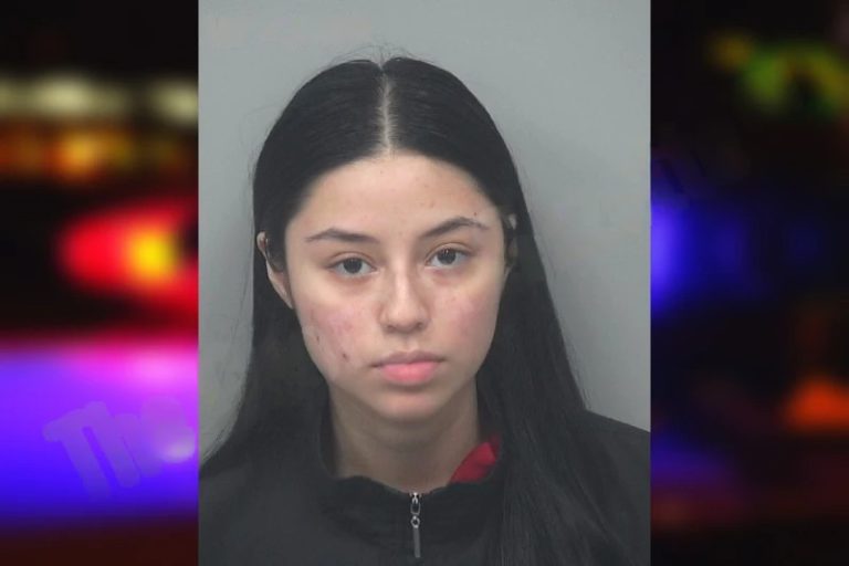 Mireya Cisnero-Benitez mugshot – Chatham County , Georgia Mireya Cisnero-Benitez