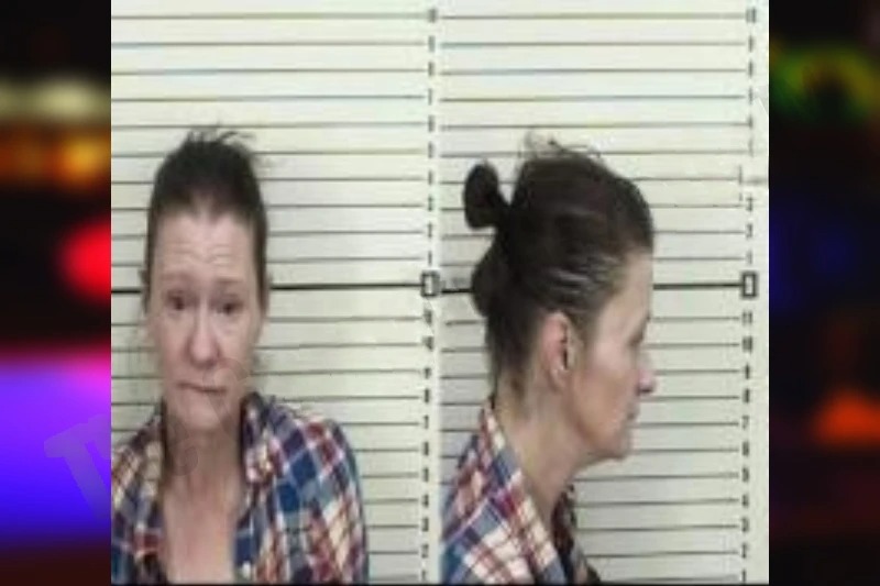 Misty Steedly Mugshots