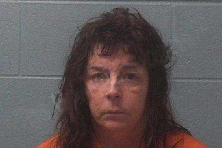 Monica Hyde mugshot – Franklin County , Georgia Monica Hyde
