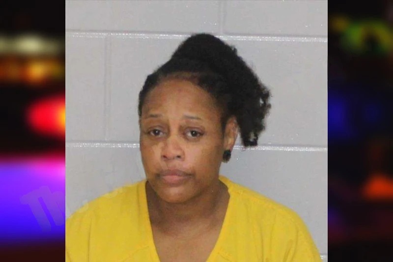 Monica McKinney Mugshots