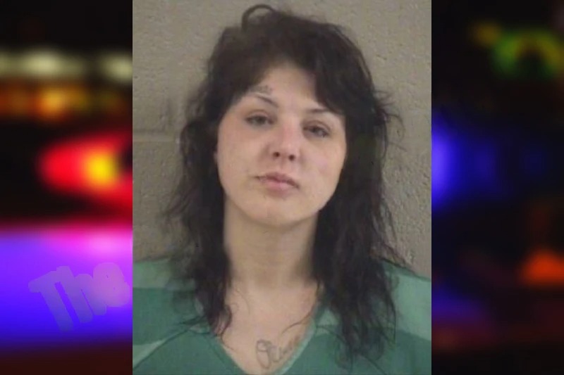 Monica Tull Mugshots