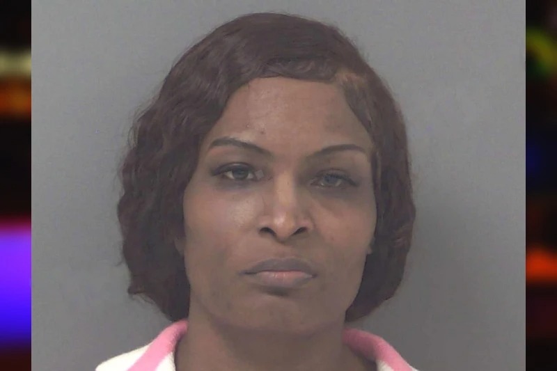 Monica Turner mugshot – Douglas County , Georgia Monica Turner mugshot