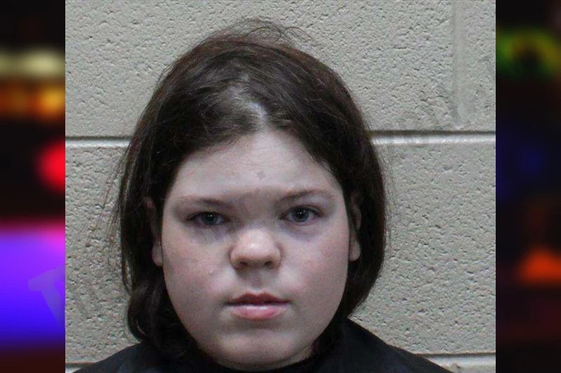 Montana Haling Mugshots