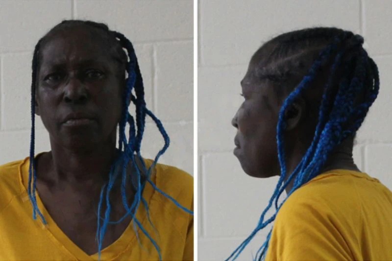 Myrtis Johnson Mugshots