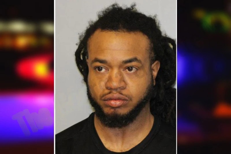 Naldolynn Smith mugshot – Hall County , Georgia Naldolynn Smith mugshot