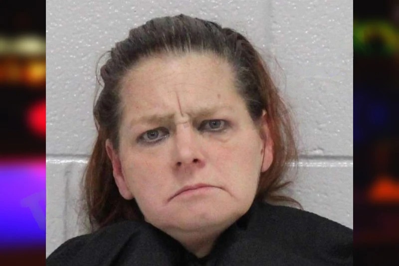 Nancy Mauldin Mugshots