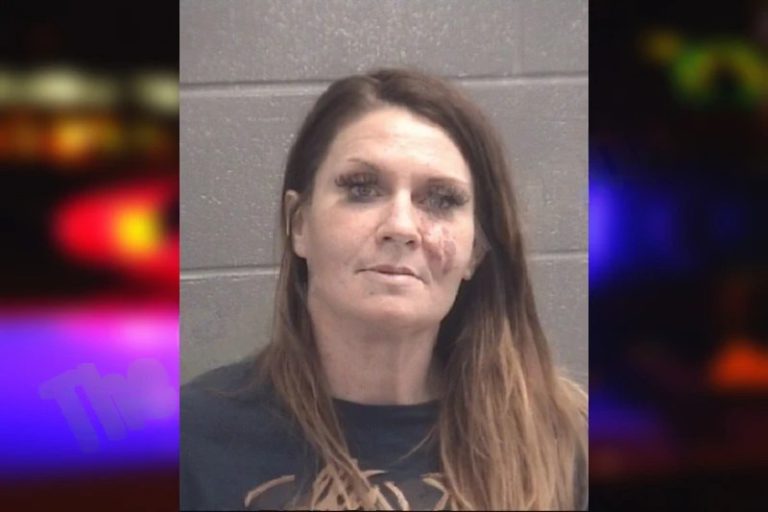 Natali Holder mugshot – Spalding County , Georgia Natali Holder