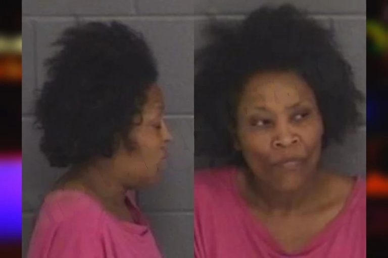 Natasha Hull mugshot – Barrow County , Georgia Natasha Hull