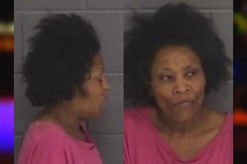 Natasha Hull mugshot – Barrow County , Georgia Natasha Hull mugshot