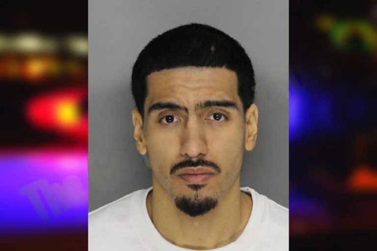 Nestor Alegria mugshot – Whitfield County , Georgia Nestor Alegria