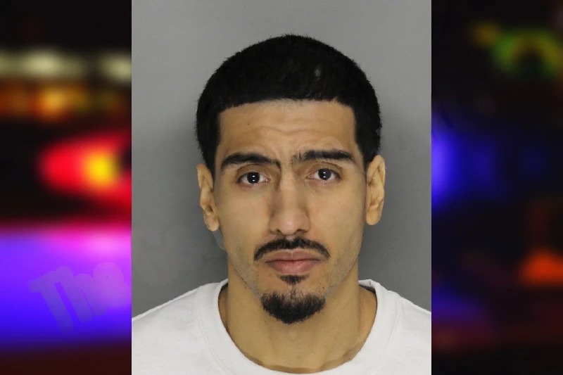 Nestor Alegria mugshot