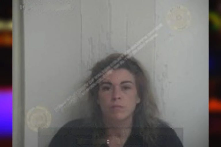 Netzabeli Bonnet mugshot – Walker County , Georgia Netzabeli Bonnet