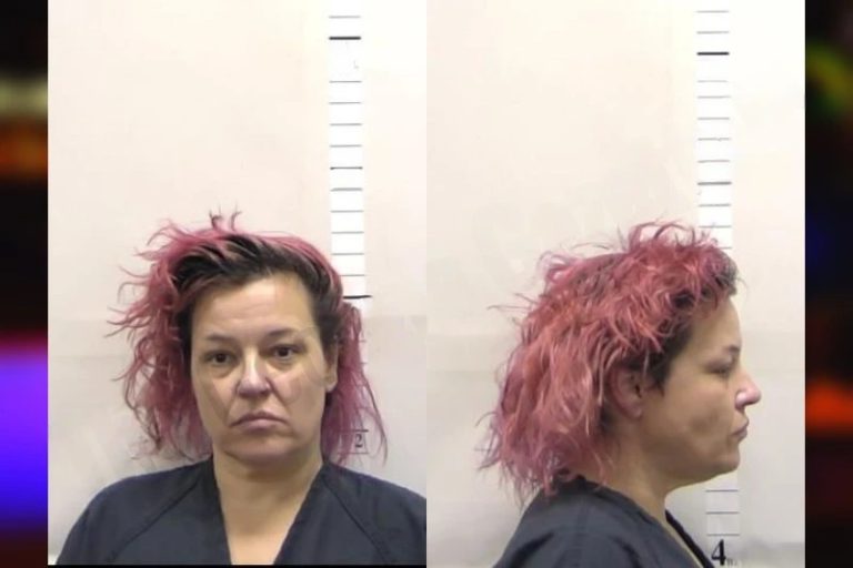 Nichole Brave mugshot – Clarke County , Georgia Nichole Brave