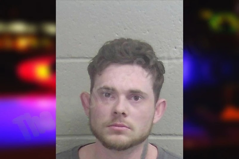 Nicolas Manning mugshot – Wayne County , Georgia Nicolas Manning mugshot