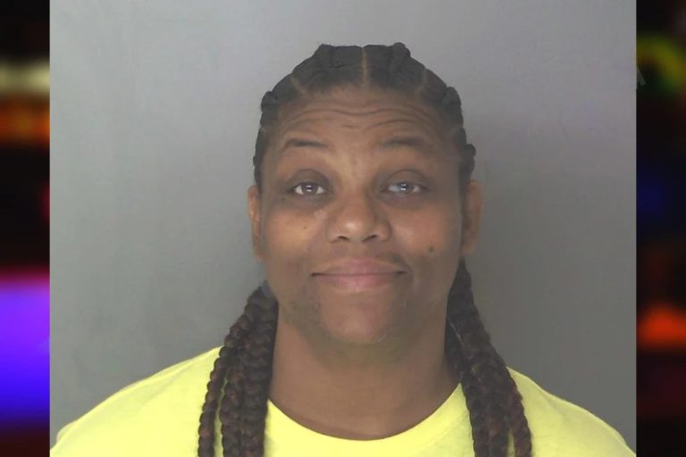 Nicole House mugshot β Douglas County , Georgia Nicole House