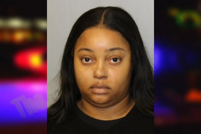 Nicole King mugshot – Hall County , Georgia Nicole King mugshot