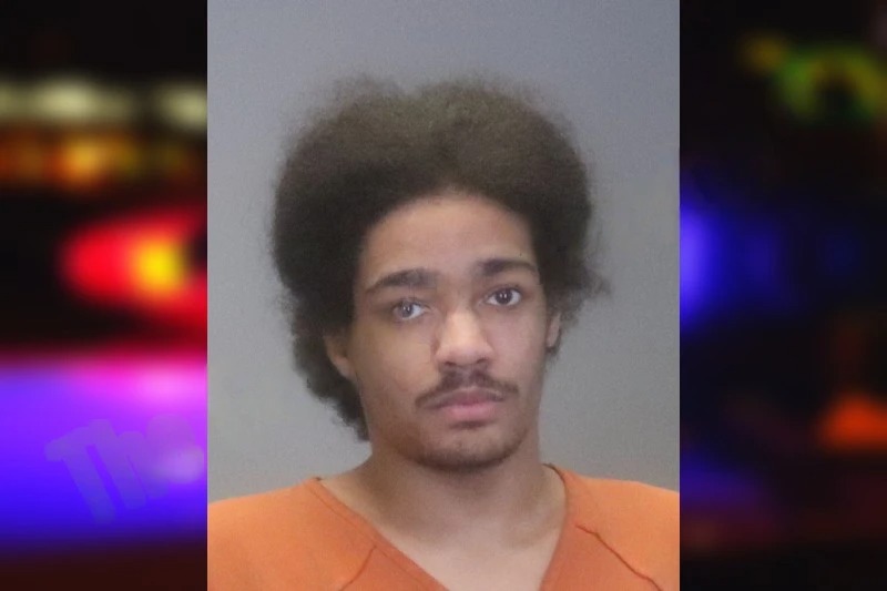 Noah Williams Mugshots