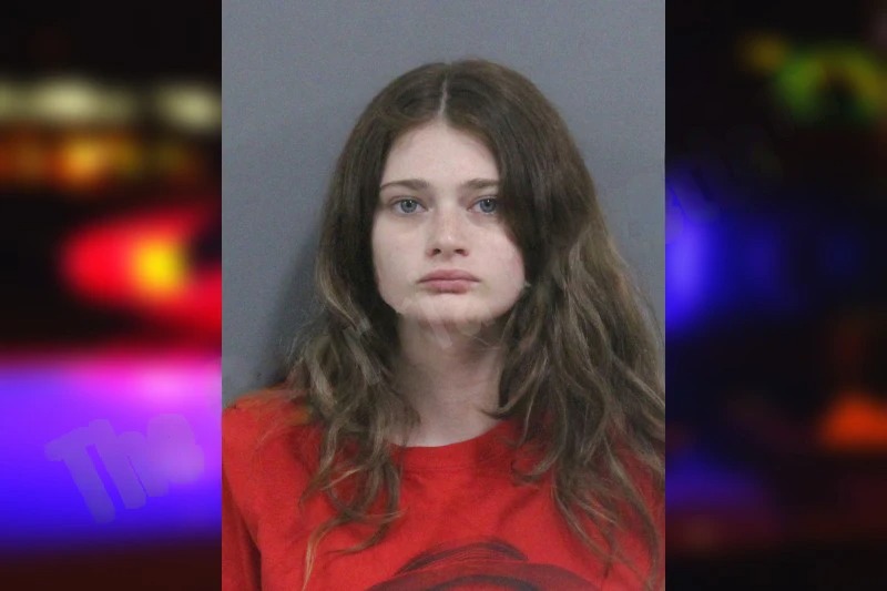 Noelle Gonzales mugshot