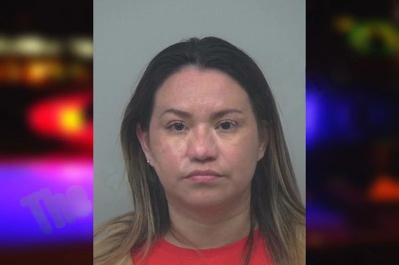 Nora Ramos Gomez Mugshots