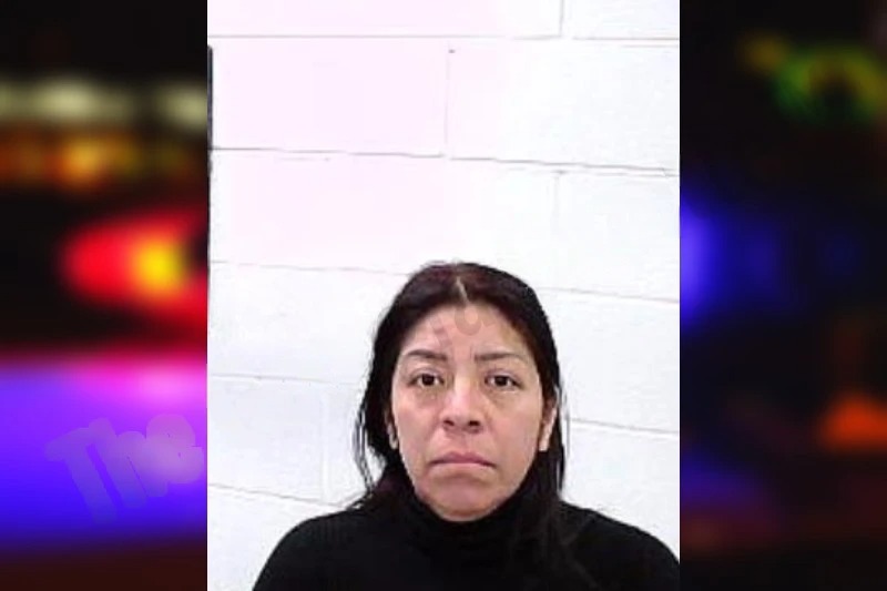 Norma Martinez Mugshots