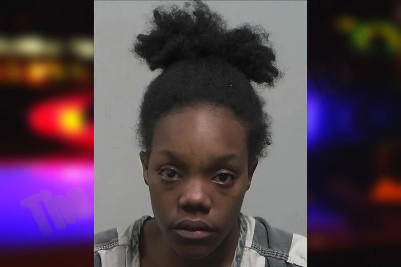 Nygeria Johnson Mugshots